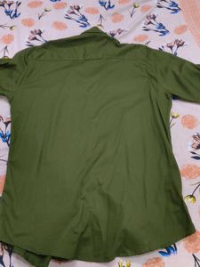 Olive Green ICON Shirt