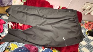 Grey Athletic Shorts