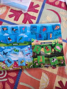 Combo For Kids Learning
