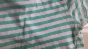 White With Sea Green Half Tshirt