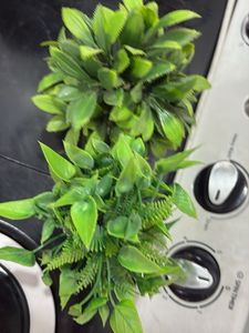 Artificial Plant Decor