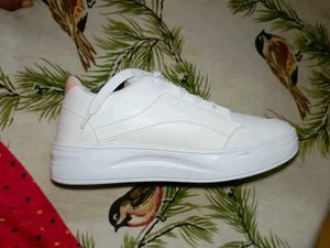 Elegant New Shoes