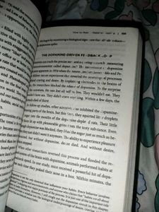 Ikigai And Atomic Habits