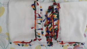 White Saree with multi coloured boarder