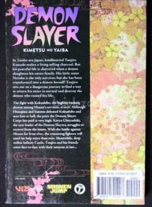 Demon Slayer Manga - Vol. 21