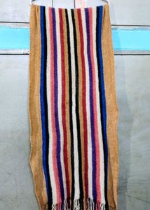 Striped Multicolor Scarf