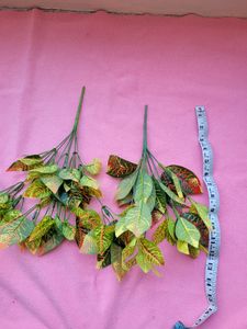 Green Red Shaded Leaf Set