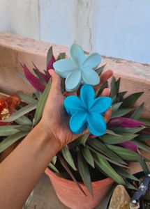 Matte Flower Claw Clip