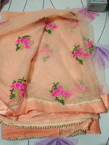 Peach Colour Net Saree