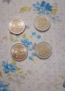 20 Rupees Coin