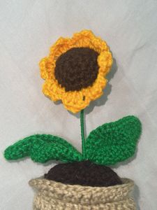Crochet Sunflower in Pot
