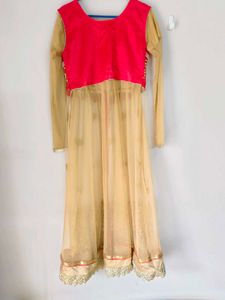 Elegant Embellished Indian Outfit