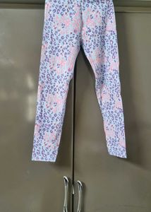 Animal Print Leggings