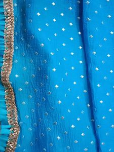 Golden Work Froji Duppta ...Party Wear