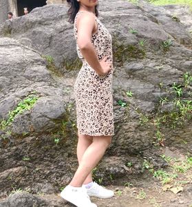 Zebra Print Dress New Ginger By Lifestyle