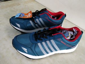 Asian Brand New Shoes With Tag