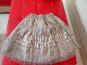Ethnic Skirt