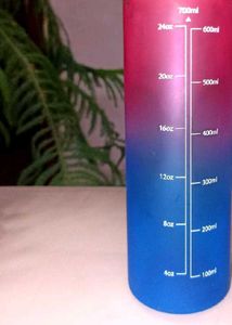 Combo Tiffin With free Bottle