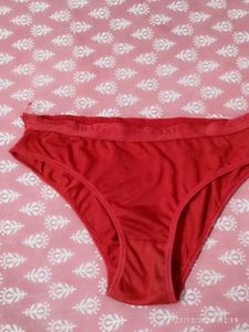 Panty