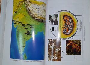 DINOSAURS OF INDIA BY ASHOK SAHNI