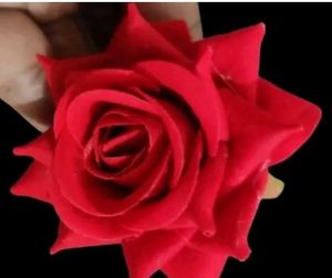 Red Rose Hair Pins (Set of 2)