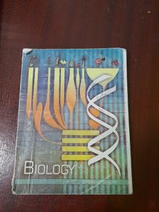 Class XII Textbook Set