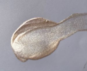 Swiss beauty Pearl Illuminater Makeup Base