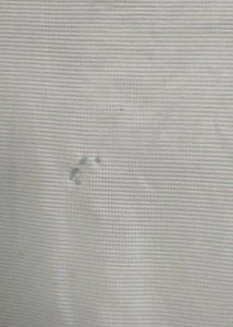 Attached Inside Tshirt And coat