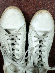 Classy White Sneakers For Men By Ajile Pantaloons