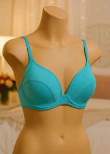 Blue Bra