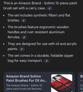 🎨 Solimo 13-Piece Oil Paint Brush Set + Premium C