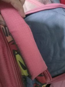 Beautiful Backpack For School And College