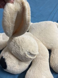 Large Plush Beige Puppy