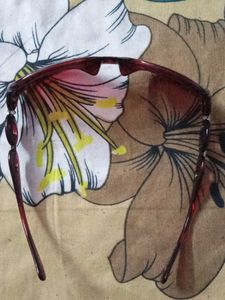 Brown Framed Sunglasses