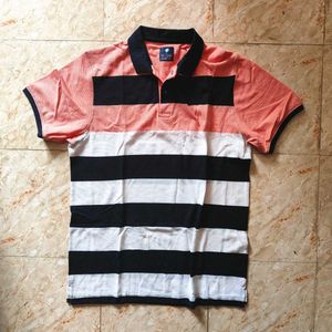 Collar Tshirt 40 Size