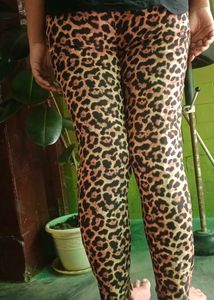 Zara Leopard Print  Pants