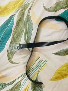 Diesel Belt