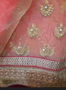 CORAL N GOLDEN NET SAREE
