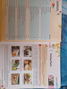 Learning Science, Grade 5 - Cordova