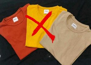 Zara Men&#39;s Basic Brown T-shirt (Single)