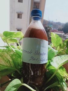 Homemade Shampoo