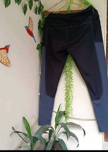 Selling Dry Fit Gym Lower