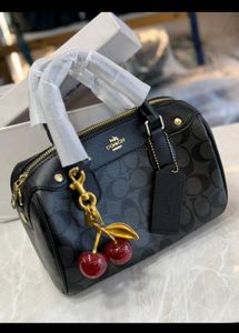Coach Slingbags