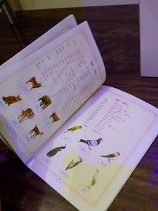 Sanskrit Sopanam Textbook