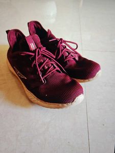 Maroon Sneakers