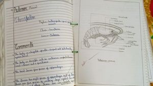 Biology Practical File Class 11 Cbse Board Chgs School