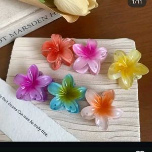 Trending Flower Hair claw Pack Of 6