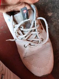 Campus Gray Sneakers