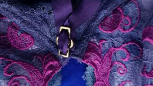 Lace Bra - Pink Embroidery Detail