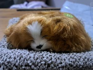 Cute Sleeping Puppy Plush